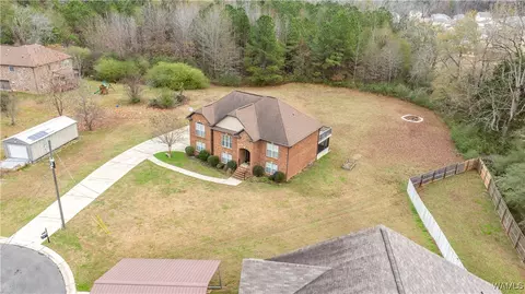 10984 Broadleaf Cir, Vance, AL 35490 photo 32