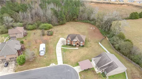 10984 Broadleaf Cir, Vance, AL 35490 photo 33