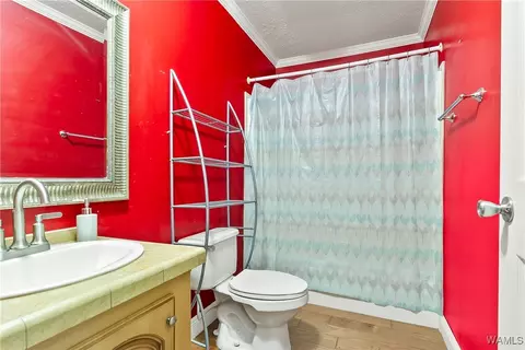Bath - 18436 Romulus Rd, Ralph, AL 35480 photo 1 of 3