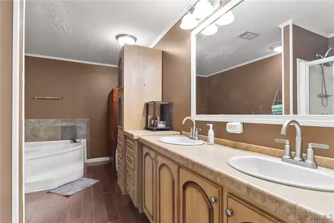 Bath - 18436 Romulus Rd, Ralph, AL 35480 photo 2 of 3