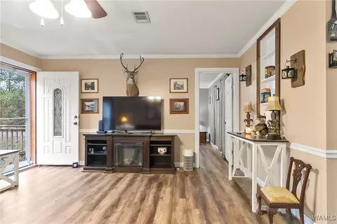 Entry Way - 18436 Romulus Rd, Ralph, AL 35480 photo 1 of 4