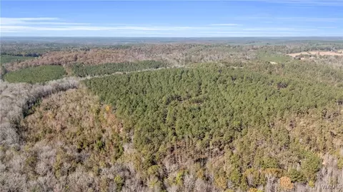 0000 Liberty Bottom Rd, Vernon, AL 35592