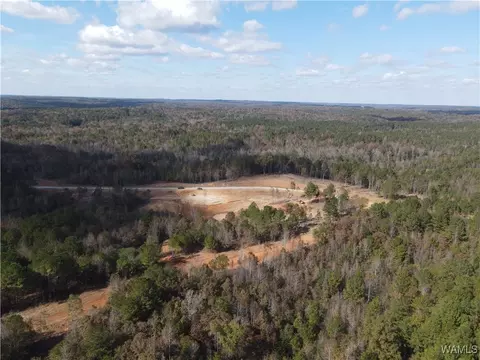 11 Cedar Rdg, Northport, AL 35475