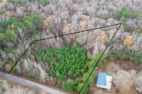 1830 Pine Tree Rd, Centreville, AL 35042