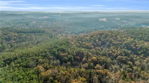 661 Cedar Tree, Vernon, AL 35592