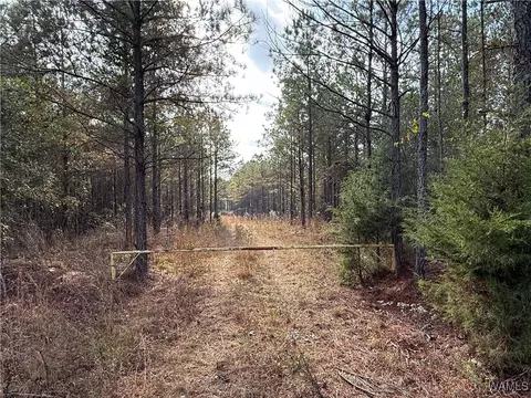 0000 Old Hwy 18, Vernon, AL 35592
