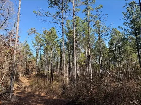 0000 Co Rd 30, Sulligent, AL 35586 photo 26