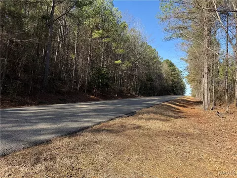 0000 Co Rd 30, Sulligent, AL 35586 photo 34