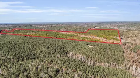 0000 Co Rd 30, Sulligent, AL 35586