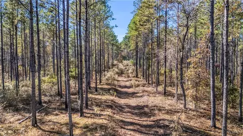 0000 Co Rd 30, Sulligent, AL 35586 photo 37