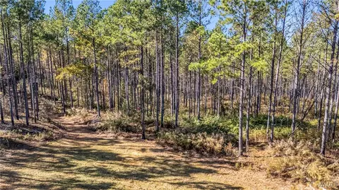 0000 Co Rd 30, Sulligent, AL 35586 photo 36