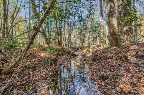 0000 Co Rd 30, Sulligent, AL 35586 photo 52