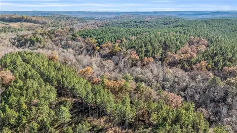 0000 Co Rd 30, Sulligent, AL 35586 photo 45