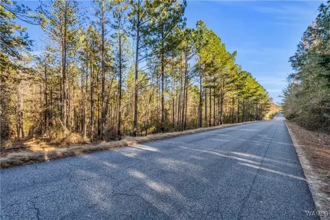 0000 Co Rd 30, Sulligent, AL 35586 photo 57