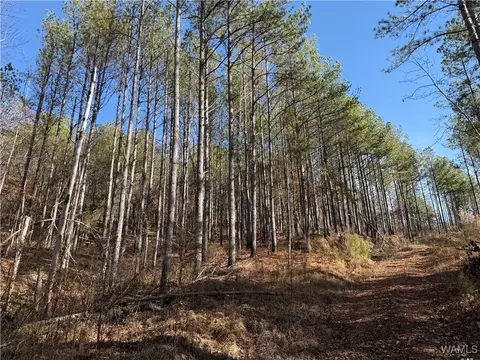 0000 Co Rd 30, Sulligent, AL 35586 photo 25