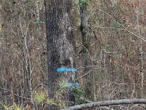 0000 Co Rd 30, Sulligent, AL 35586 photo 12