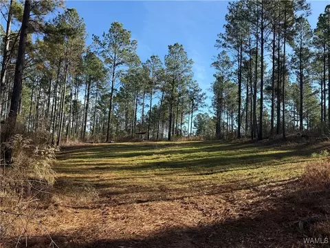 0000 Co Rd 30, Sulligent, AL 35586 photo 11