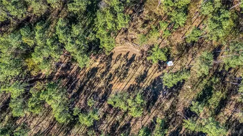 0000 Co Rd 30, Sulligent, AL 35586 photo 4