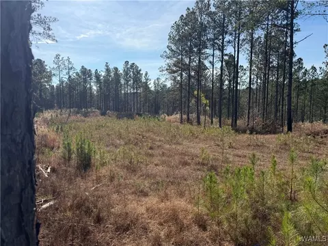 0000 Co Rd 30, Sulligent, AL 35586 photo 28