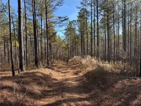 0000 Co Rd 30, Sulligent, AL 35586 photo 15