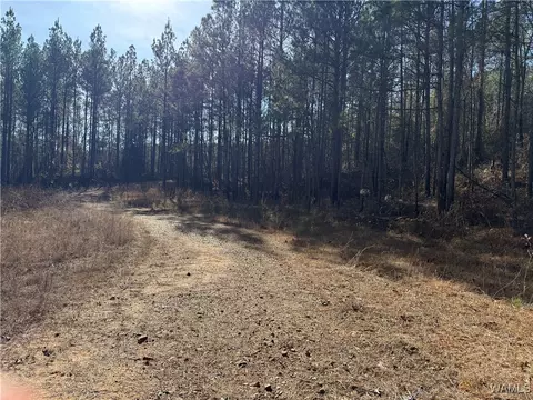 0000 Co Rd 30, Sulligent, AL 35586 photo 32