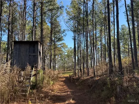 0000 Co Rd 30, Sulligent, AL 35586 photo 10