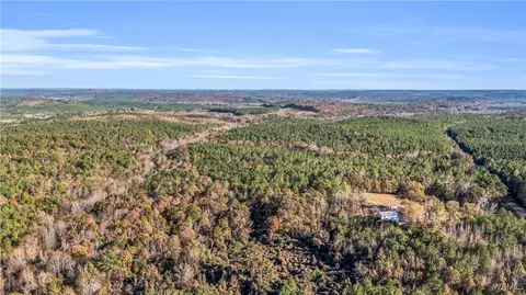 0000 Co Rd 30, Sulligent, AL 35586 photo 48