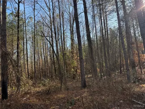 0000 Co Rd 30, Sulligent, AL 35586 photo 7