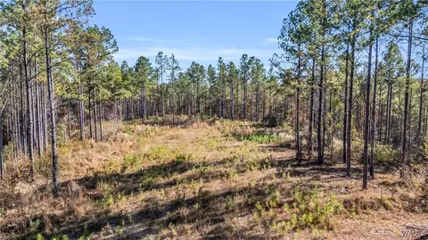 0000 Co Rd 30, Sulligent, AL 35586 photo 44