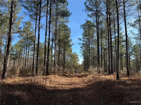 0000 Co Rd 30, Sulligent, AL 35586 photo 13