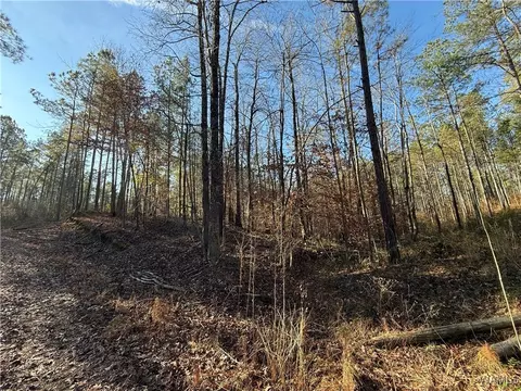 0000 Co Rd 30, Sulligent, AL 35586 photo 8