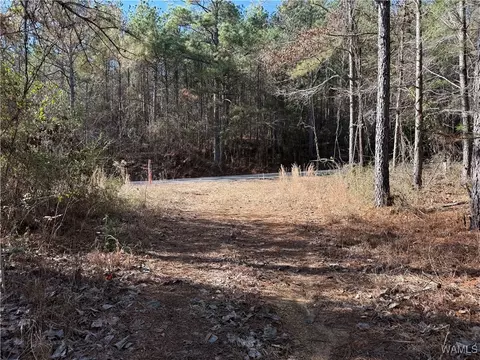 0000 Co Rd 30, Sulligent, AL 35586 photo 33