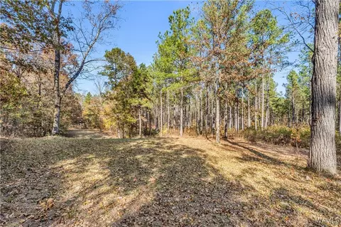 0000 Co Rd 30, Sulligent, AL 35586 photo 54