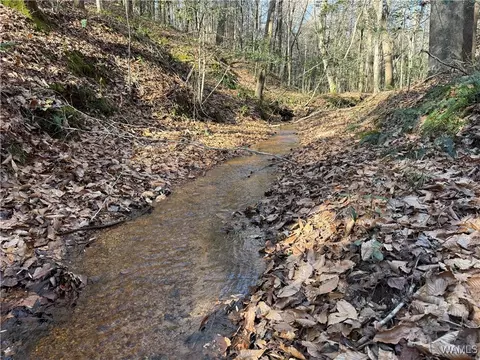 0000 Co Rd 30, Sulligent, AL 35586 photo 16