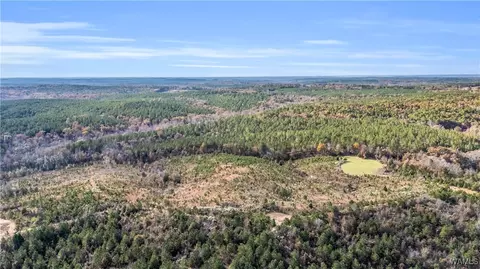 0000 Co Rd 30, Sulligent, AL 35586 photo 40