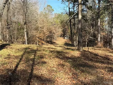 0000 Co Rd 30, Sulligent, AL 35586 photo 31