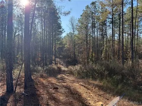 0000 Co Rd 30, Sulligent, AL 35586 photo 6