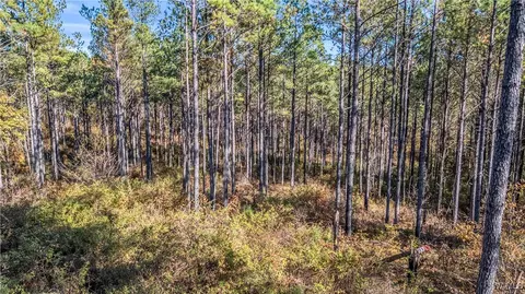 0000 Co Rd 30, Sulligent, AL 35586 photo 43