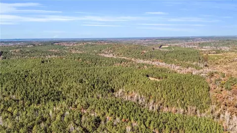 0000 Co Rd 30, Sulligent, AL 35586 photo 35