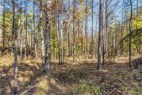 0000 Co Rd 30, Sulligent, AL 35586 photo 50