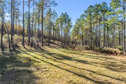 0000 Co Rd 30, Sulligent, AL 35586 photo 49