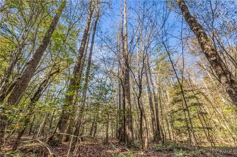 0000 Co Rd 30, Sulligent, AL 35586 photo 53