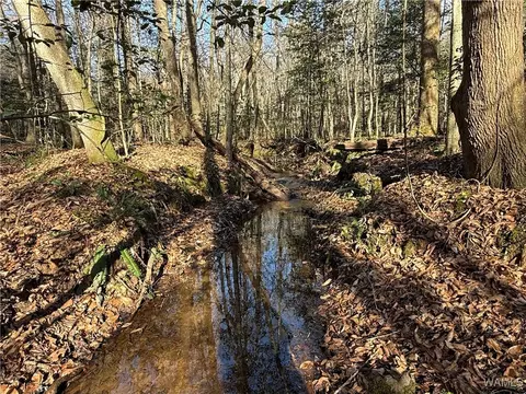 0000 Co Rd 30, Sulligent, AL 35586 photo 18