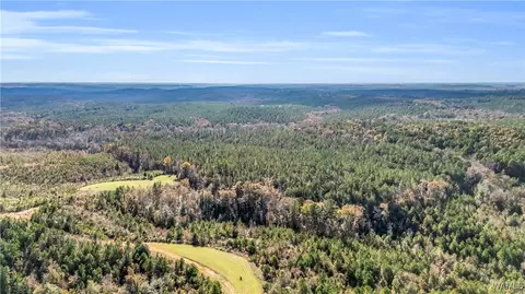 0000 Co Rd 30, Sulligent, AL 35586 photo 39