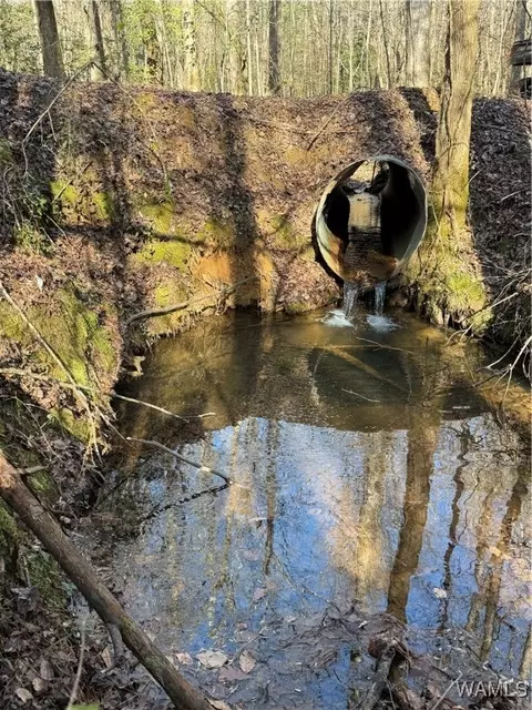 0000 Co Rd 30, Sulligent, AL 35586 photo 24