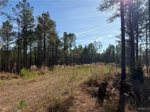0000 Co Rd 30, Sulligent, AL 35586 photo 29