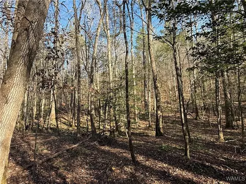 0000 Co Rd 30, Sulligent, AL 35586 photo 3