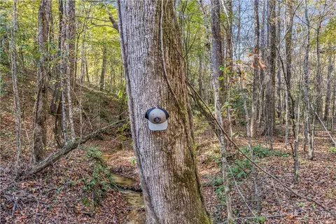 0000 Co Rd 30, Sulligent, AL 35586 photo 55