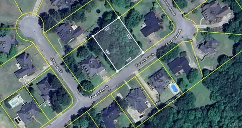 00 Forest Brook Dr, Demopolis, AL 36732