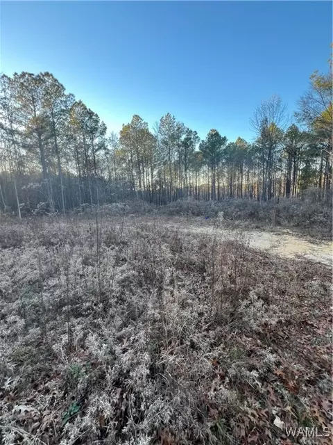 16015 Sanford Rd, Northport, AL 35475